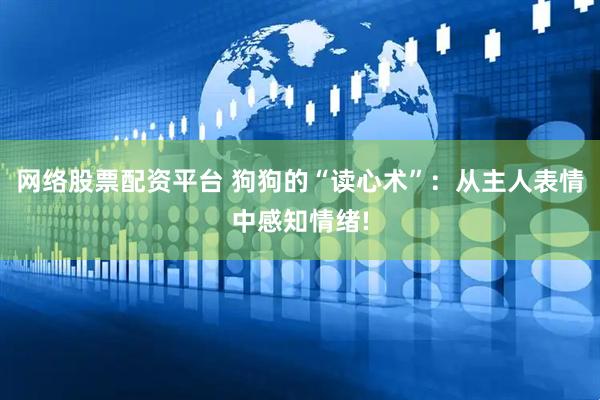 网络股票配资平台 狗狗的“读心术”：从主人表情中感知情绪!