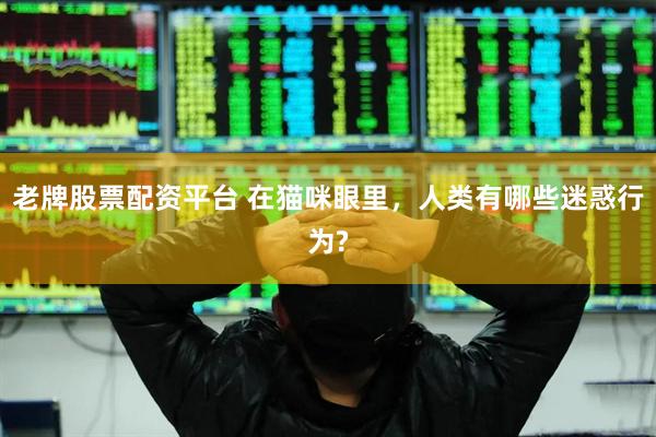 老牌股票配资平台 在猫咪眼里，人类有哪些迷惑行为?